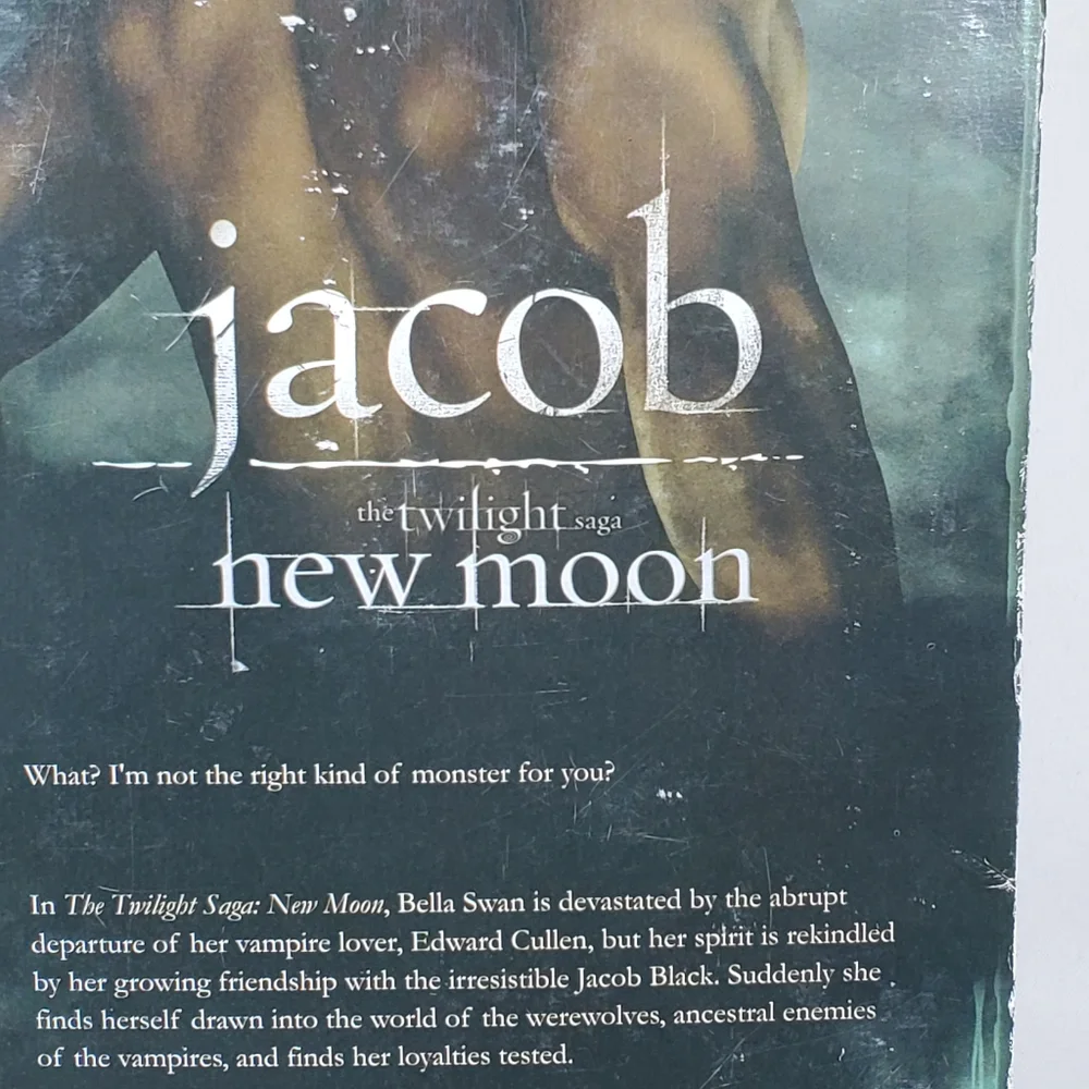 BARBIE TWILIGHT SAGA NEW MOON - JACOB BLACK Collector Doll 2009 - New in Box. - Picture 8 of 13